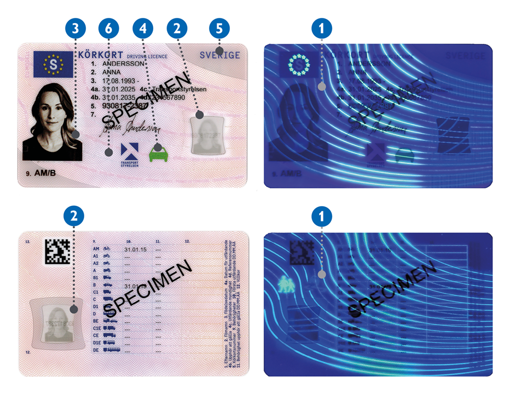Detaljer på körkort från och med 2025.