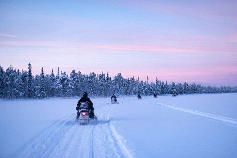 Snöskotersafari i vintermiljö