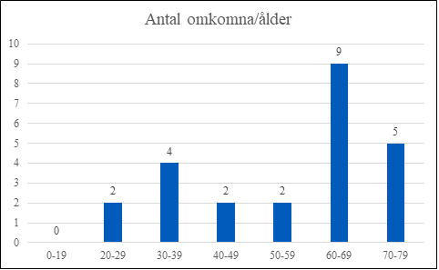 Elaggregat bensindrivet